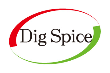 DigSpice